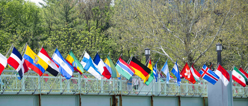 International Flag Bridge