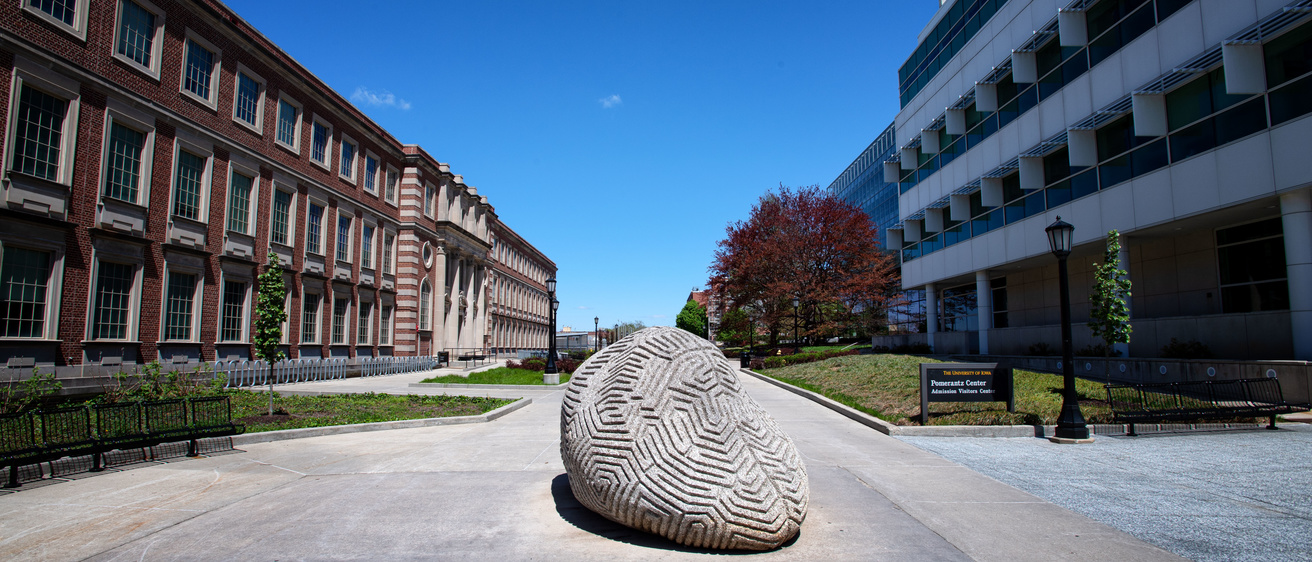 Brain rock outside Pomerantz Center