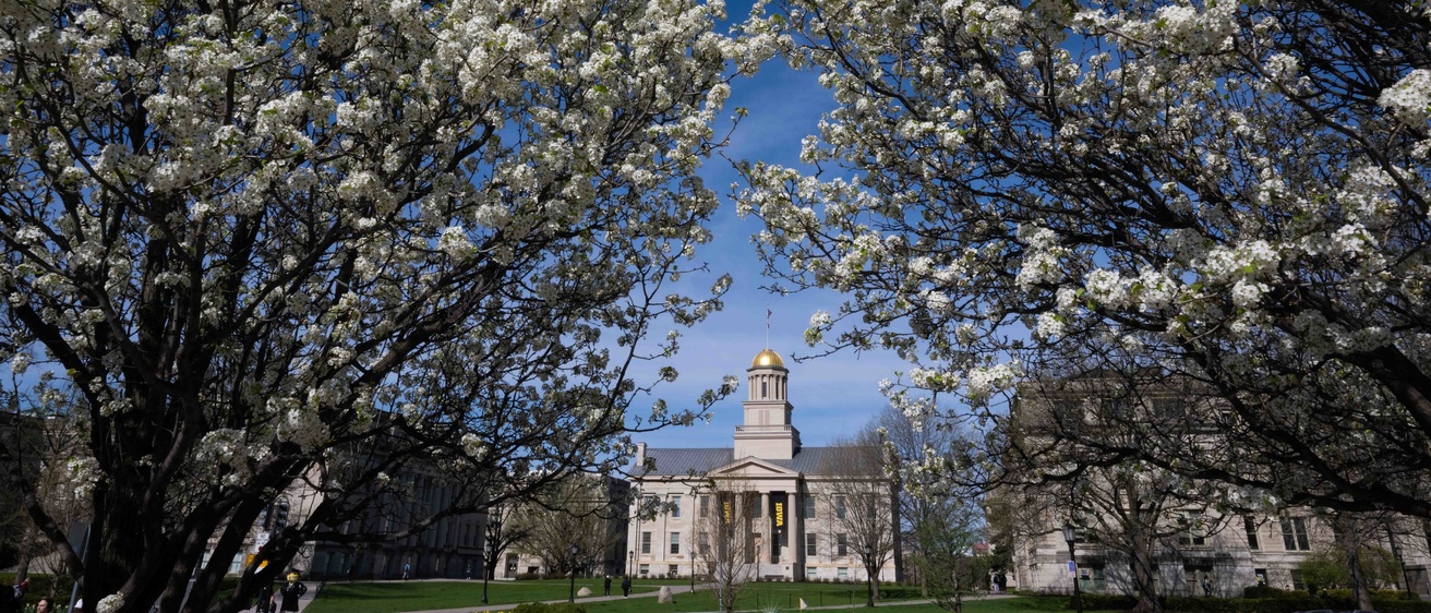 View of Old Capitol through blossoming trees.