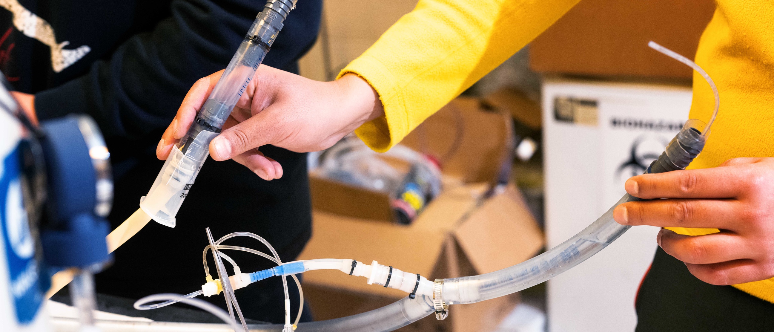 Biomedical Engineering | Admissions - The University of Iowa