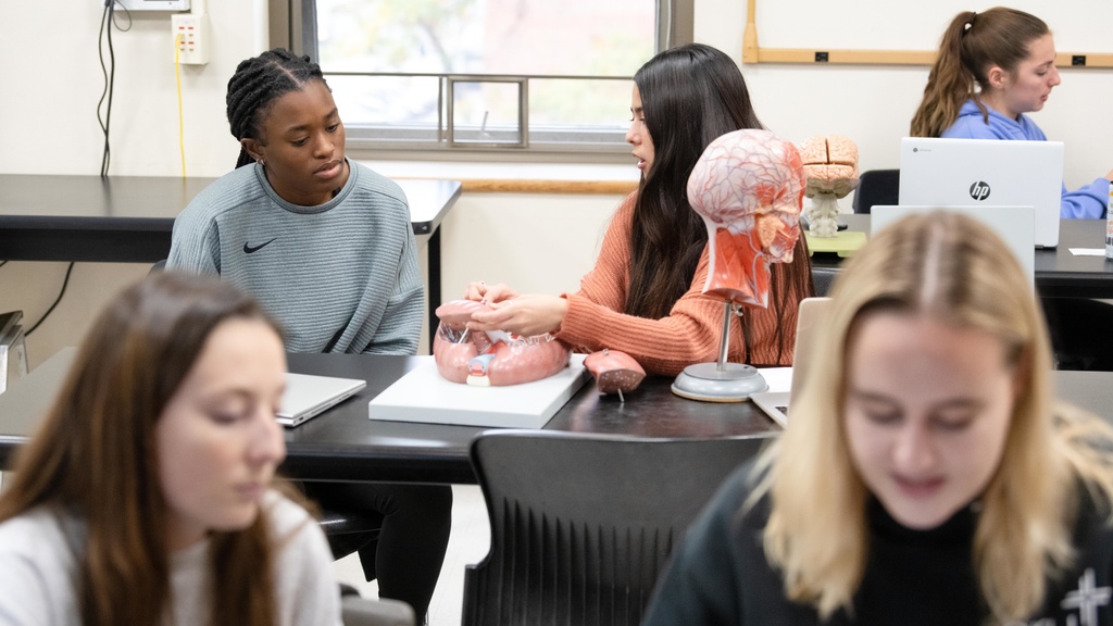 HHP 1110 HUMAN ANATOMY LABORATORY