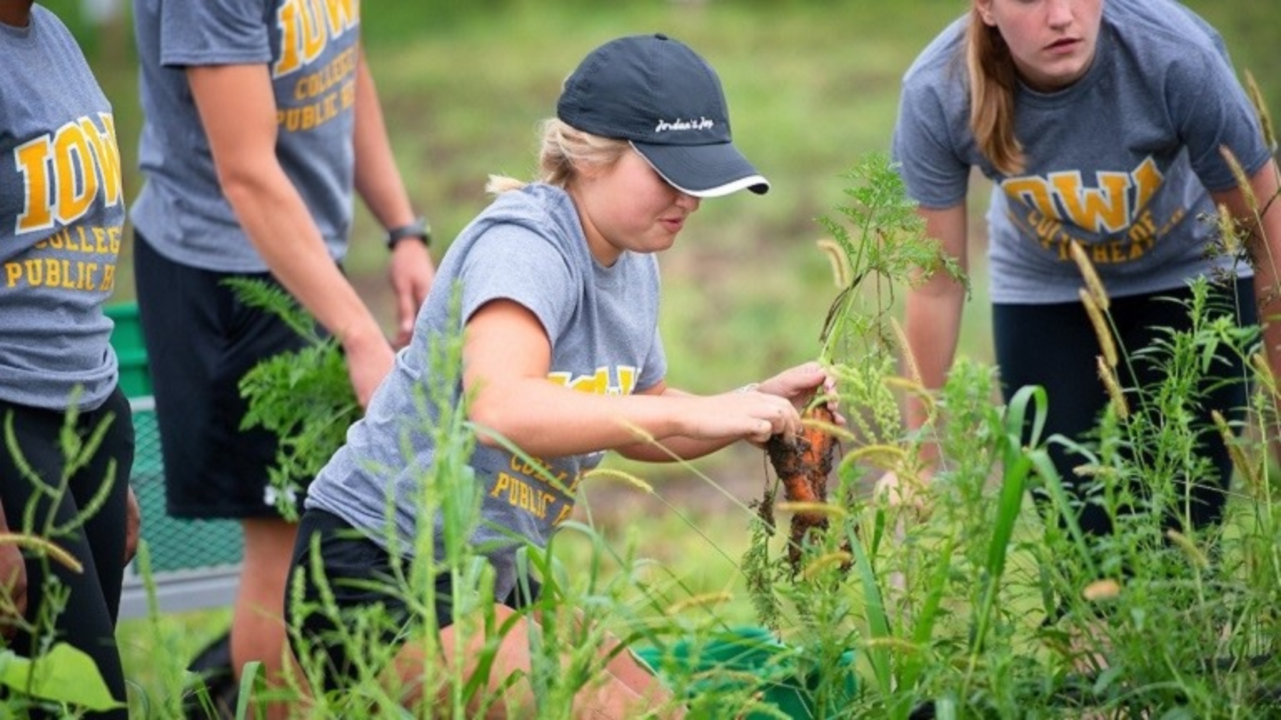 First-Year Admissions | Admissions - The University Of Iowa